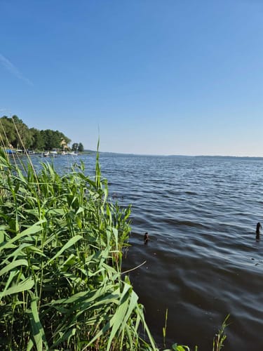 Schwielochsee Runde