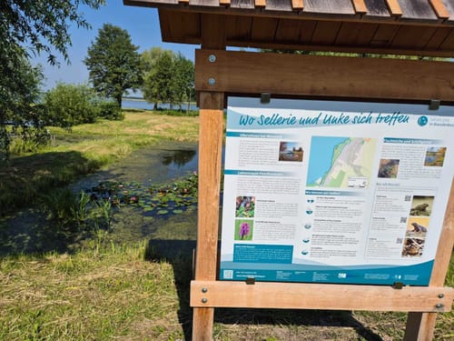 Schwielochsee Runde