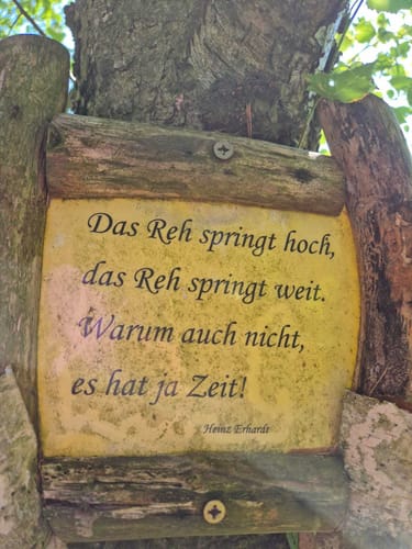 Schwielochsee Runde