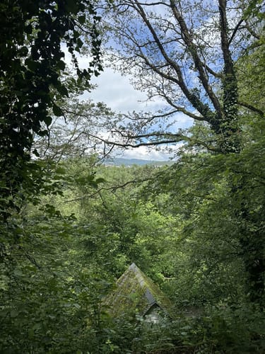 Rauenthaler Spange (Premiumwanderweg)