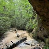 Sand Cave and White Rocks via Ewing Trail, Virginia - 1,199 Reviews ...