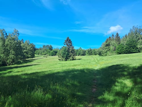 Bad Tabarz - Großer Inselberg - Aschenbergstein