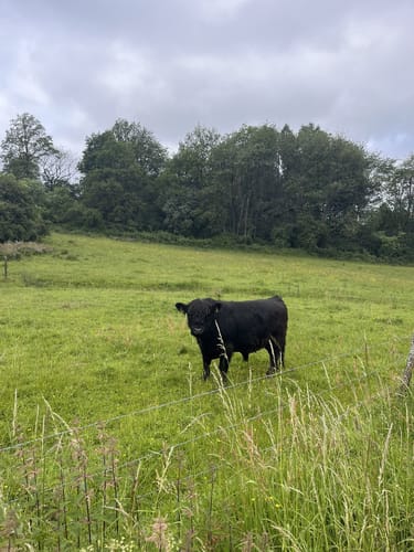 Schmuggler-Pfad (Premiumwanderweg)