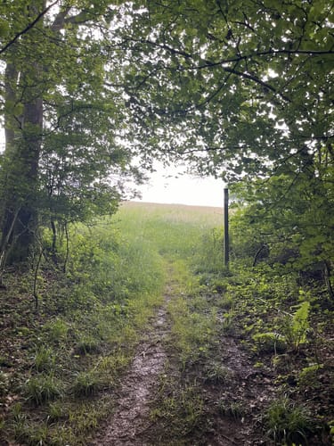 Schmuggler-Pfad (Premiumwanderweg)