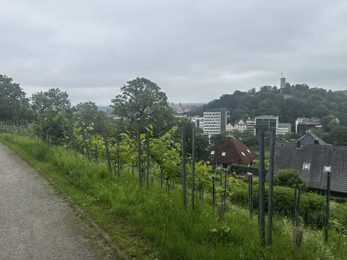 Von Burg zu Berg
