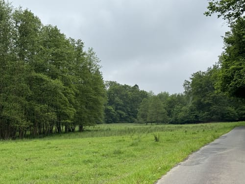 Dieperzberg (Altenkirchen A2)