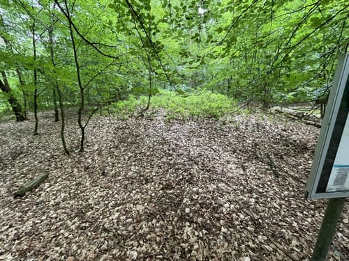 Fischbeker Heide und Hügelgräber