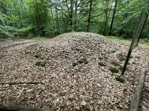 Fischbeker Heide und Hügelgräber