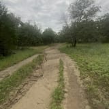 Eagle Mountain Lake Park Trail, Texas - 2,874 Reviews, Map | AllTrails