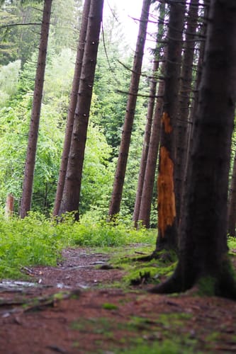 Durach: Rund um den Bodelsberg