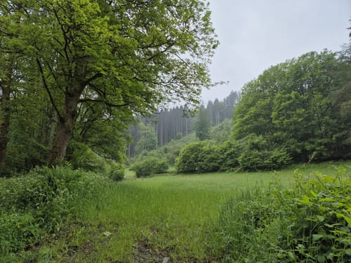 Hammer Eifelwanderung