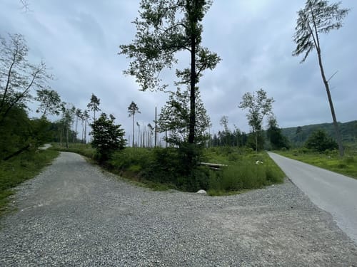 Externsteinen und Falkenburg Rundwanderung