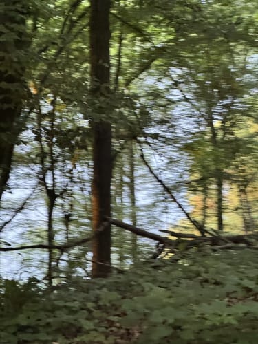 Erlebnisweg Sieg: Talsperrenweg
