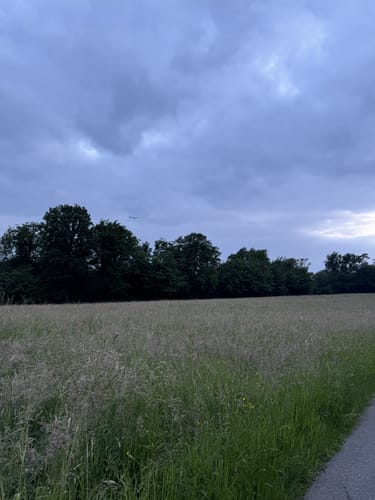 Erlebnisweg Sieg: Talsperrenweg