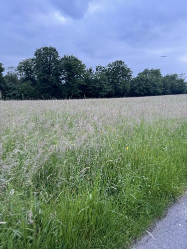 Erlebnisweg Sieg: Talsperrenweg