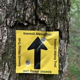 Sawmill Hiking Trail, Texas - 363 Reviews, Map | AllTrails