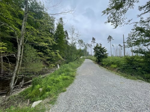 Externsteinen und Falkenburg Rundwanderung