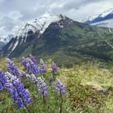 Bird Ridge Trail, Alaska - 1,087 Reviews, Map | AllTrails