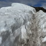 Bird Ridge Trail, Alaska - 1,087 Reviews, Map | AllTrails