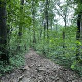 Sixty Foot Falls Trail via Mulberry Mt. Lodge, Arkansas - 297 Reviews ...