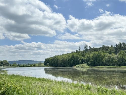 Über den Prälatenweg und rund um den Affenberg