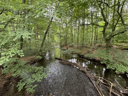 Nebeltal bei Kuchelmiss