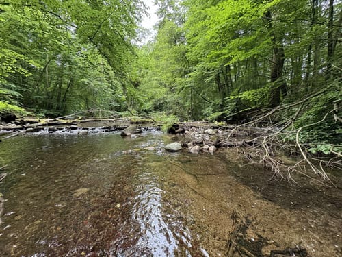 Nebeltal bei Kuchelmiss