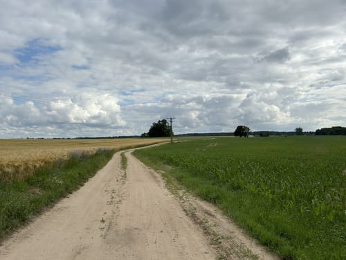 Weisiner See Rundwanderung