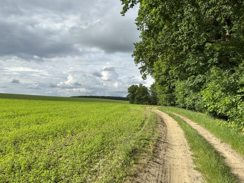 Weisiner See Rundwanderung