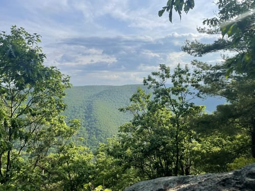 Best hikes and trails in Mohawk Trail State Forest AllTrails