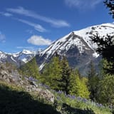 Bird Ridge Trail, Alaska - 1,097 Reviews, Map | AllTrails