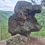 Whitaker Point Trail (Hawksbill Crag), Arkansas - 3,918 Reviews, Map ...