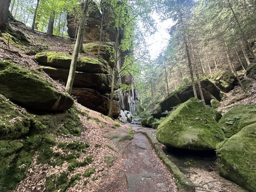 Durch den Uttewalder Grund zum Teufelsgrund