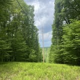Hickory Creek Wilderness Trail, Pennsylvania - 401 Reviews, Map | AllTrails