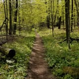 Pyramid Point Loop, Michigan - 981 Reviews, Map | AllTrails