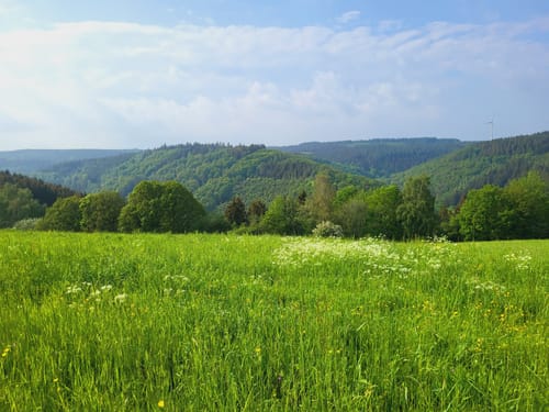 Woffelsbach und Allersbach
