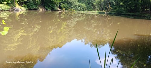 Wanderweg bei Nordenstadt