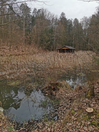 Rund um Burghaig
