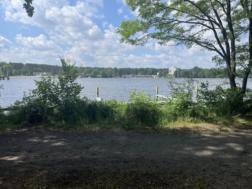 Kämmereiheide am Müggelsee