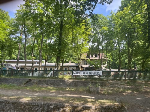 Kämmereiheide am Müggelsee