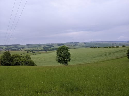 Bummelkuppenweg (lang)