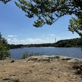 Lincoln Woods Trail, Rhode Island - 1,566 Reviews, Map | AllTrails