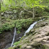 Dark Hollow Falls Trail Virginia - EyJidWNrZXQiOiJhc3NldHMuYWxsdHJhaWxzLmNvbSIsImtleSI6InVwbG9hZHMvcGhvdG8vaW1hZ2UvNzUxMDE3NTEvOGFmNzJjNzk3MGEwZjA1MmVkZmU5ZTZjMWE0ZjZmNTEuanBnIiwiZWRpdHMiOnsidG9Gb3JtYXQiOiJqcGVnIiwicmVzaXplIjp7IndpZHRoIjoxNjAsImhlaWdodCI6MTYwLCJmaXQiOiJjb3ZlciJ9LCJyb3RhdGUiOm51bGwsImpwZWciOnsidHJlbGxpc1F1YW50aXNhdGlvbiI6dHJ1ZSwib3ZlcnNob290RGVyaW5naW5nIjp0cnVlLCJvcHRpbWlzZVNjYW5zIjp0cnVlLCJxdWFudGlzYXRpb25UYWJsZSI6M319fQ==