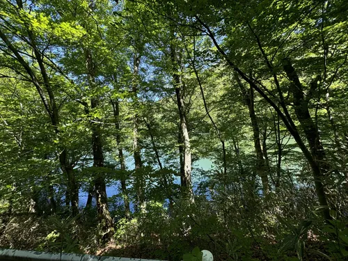 湖上の山 金山ノ池（十二湖） - hikes and trails to get you there