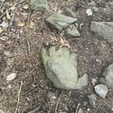 Raven Rocks via Appalachian Trail, Virginia - 6,096 Reviews, Map ...