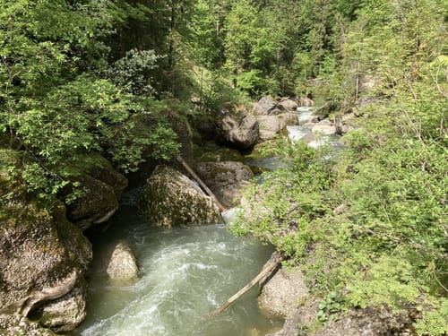 Wildes Wasser (Premiumwanderweg)