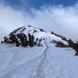 Bird Ridge Trail, Alaska - 1,044 Reviews, Map | AllTrails
