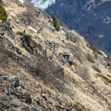 Bird Ridge Trail, Alaska - 1,044 Reviews, Map | AllTrails