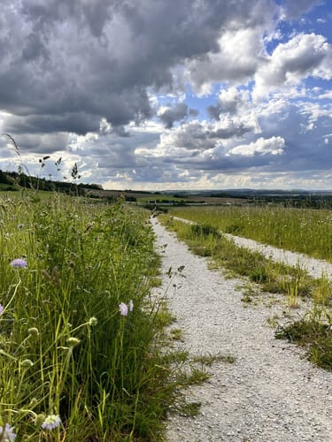 Runde bei Reichenbach