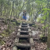 Sand Cave and White Rocks via Ewing Trail, Virginia - 1,199 Reviews ...